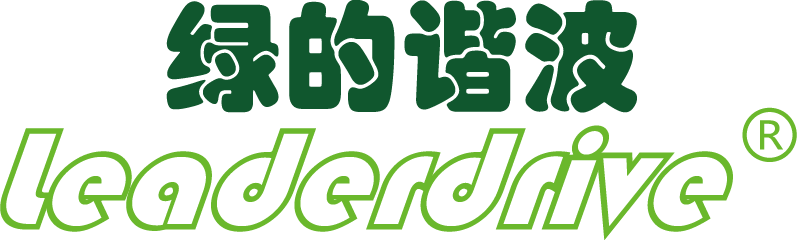 Leaderdrive company mark from the official website